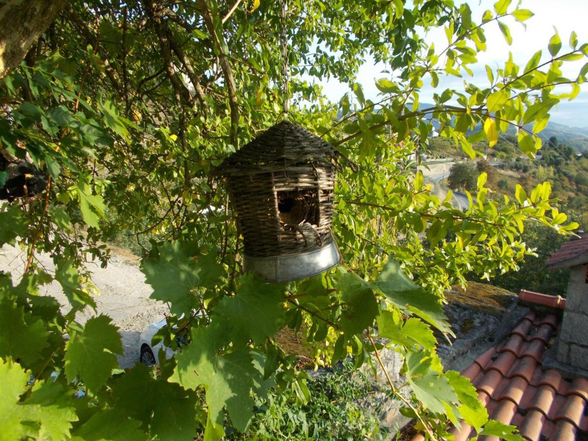 Casa De Sao Joao Das Castanheiras Resende Eksteriør bilde